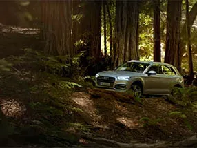 Szenenbild aus Audi Q5 – Trailer