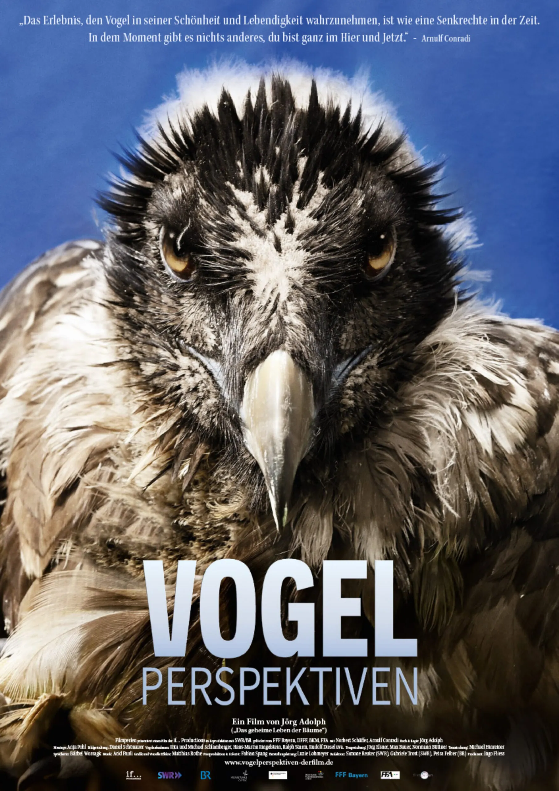 Filmplakat "Vogelperspektiven"